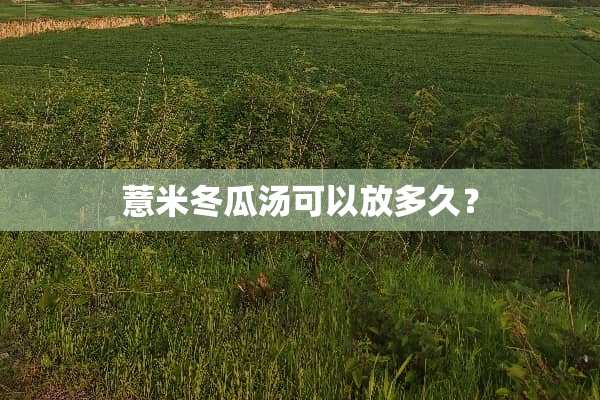 薏米冬瓜汤可以放多久？