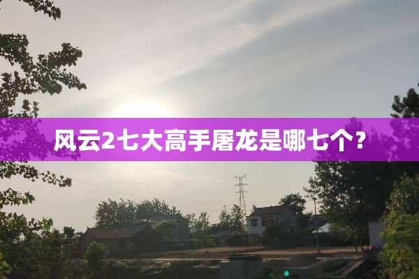 风云2七大高手屠龙是哪七个？