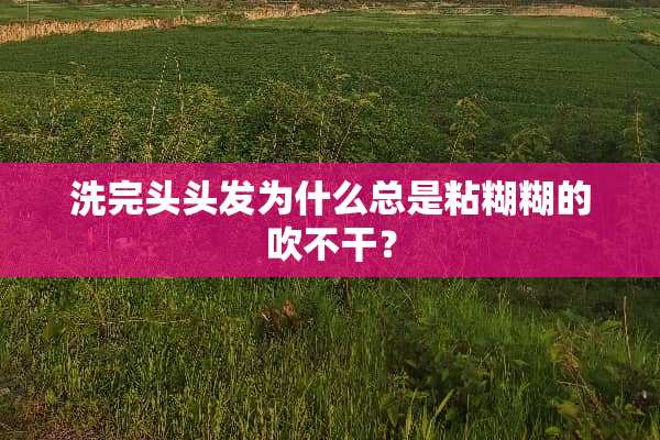 洗完头头发为什么总是粘糊糊的吹不干？