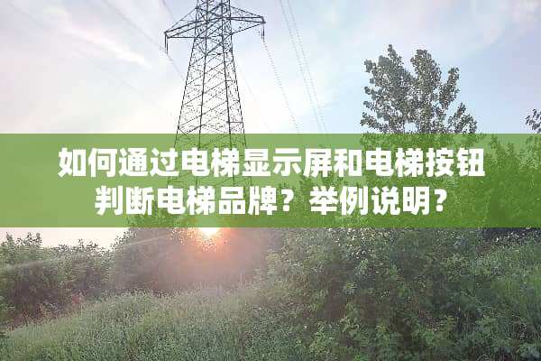 如何通过电梯显示屏和电梯按钮判断电梯品牌？举例说明？