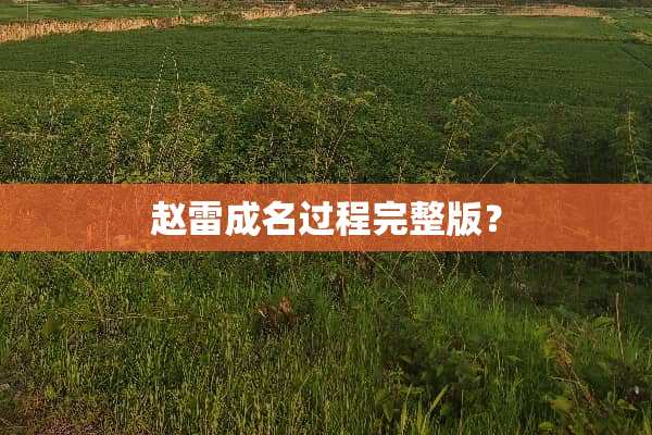 赵雷成名过程完整版？
