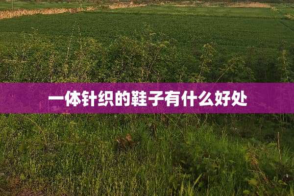 一体针织的鞋子有什么好处
