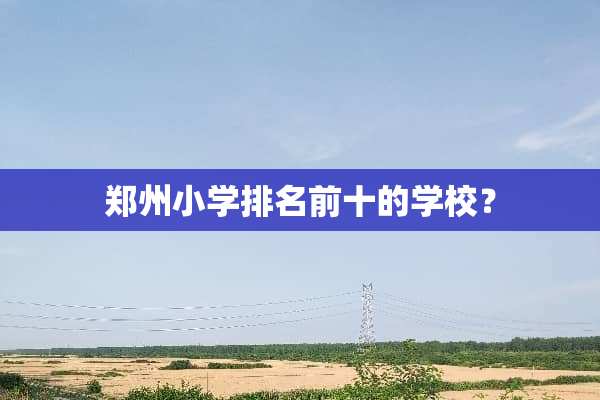 郑州小学排名前十的学校？