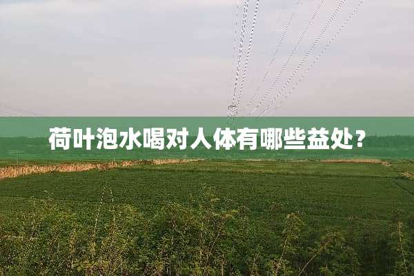 荷叶泡水喝对人体有哪些益处？