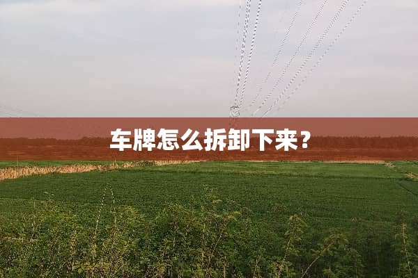 车牌怎么拆卸下来？