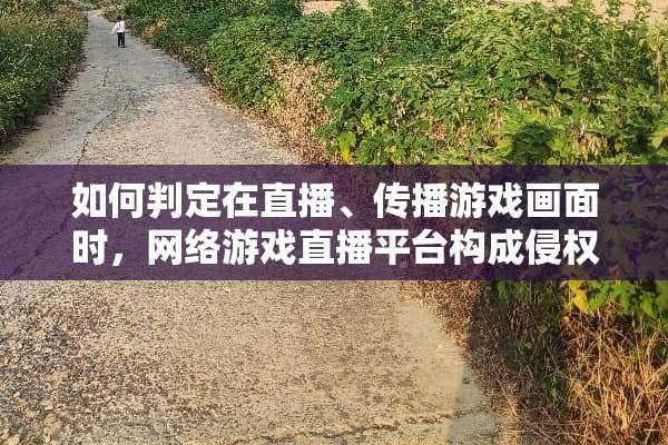 如何判定在直播、传播游戏画面时，网络游戏直播平台构成侵权？