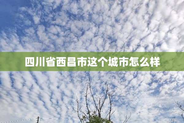 四川省西昌市这个城市怎么样