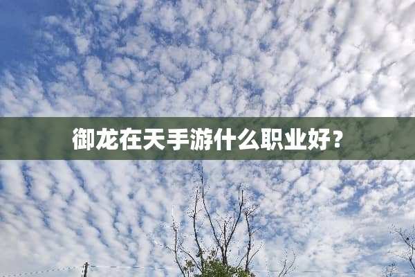 御龙在天手游什么职业好？