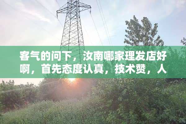 客气的问下，汝南哪家理发店好啊，首先态度认真，技术赞，人不难看？