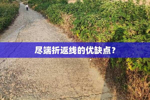 尽端折返线的优缺点？