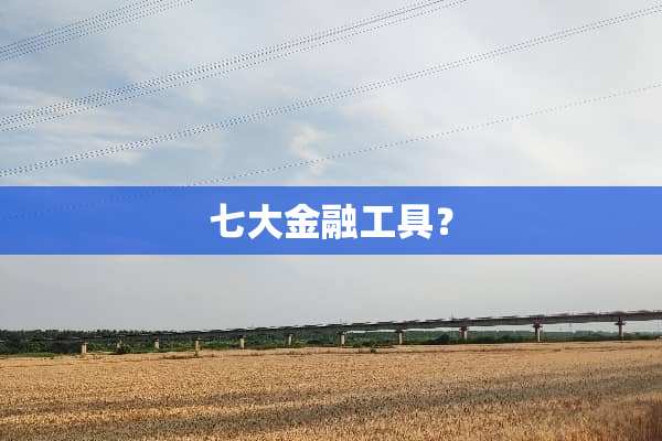 七大金融工具？