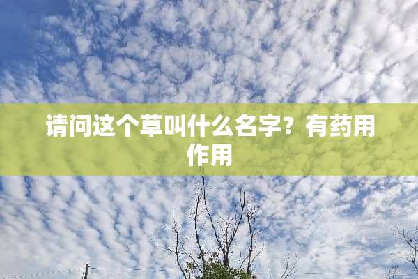 请问这个草叫什么名字？有药用作用