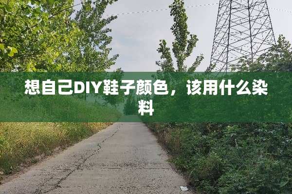 想自己DIY鞋子颜色，该用什么染料