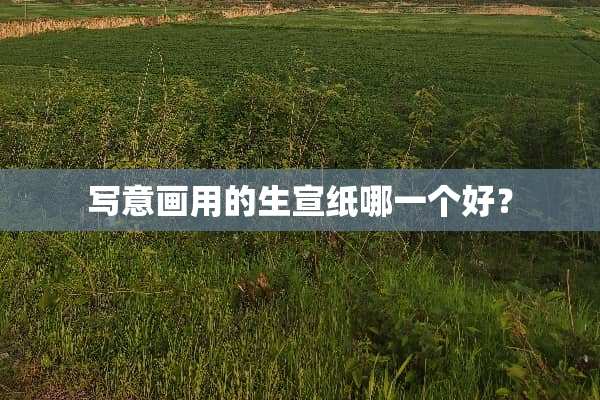 写意画用的生宣纸哪一个好？