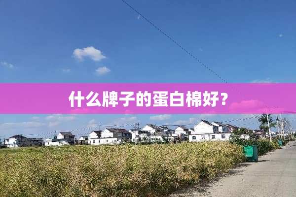 什么牌子的蛋白棉好？