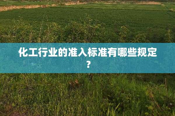 化工行业的准入标准有哪些规定？