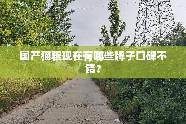 国产猫粮现在有哪些牌子口碑不错？