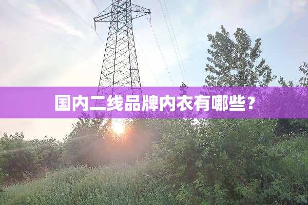 国内二线品牌**有哪些？