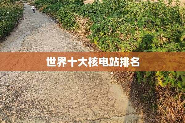 世界十大核电站排名