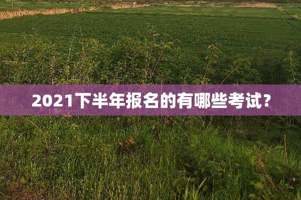 2021下半年报名的有哪些考试？