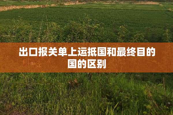 出口报关单上运抵国和最终目的国的区别