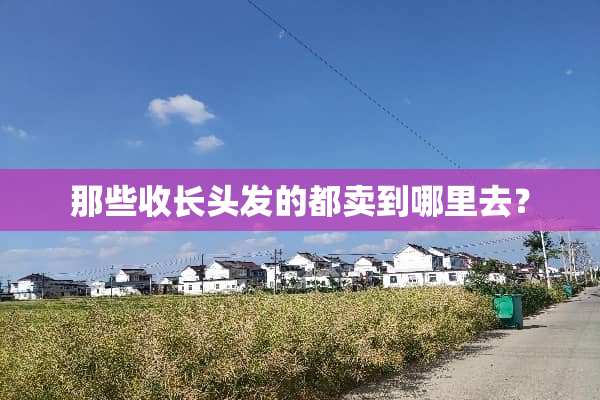 那些收长头发的都卖到哪里去？