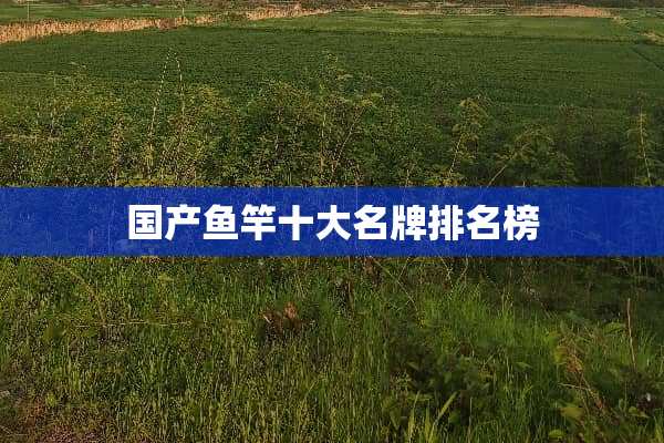 国产鱼竿十大名牌排名榜
