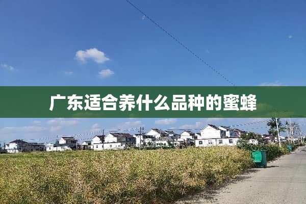 广东适合养什么品种的蜜蜂