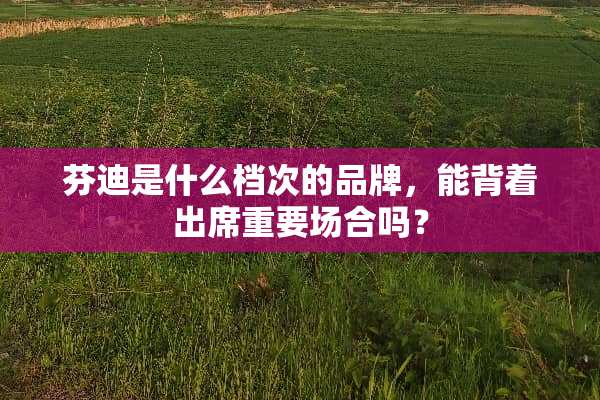 芬迪是什么档次的品牌，能背着出席重要场合吗？
