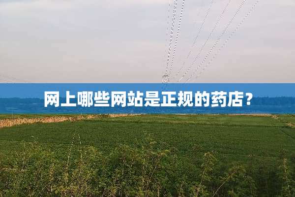 网上哪些网站是正规的药店？