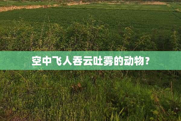 空中飞人吞云吐雾的动物？