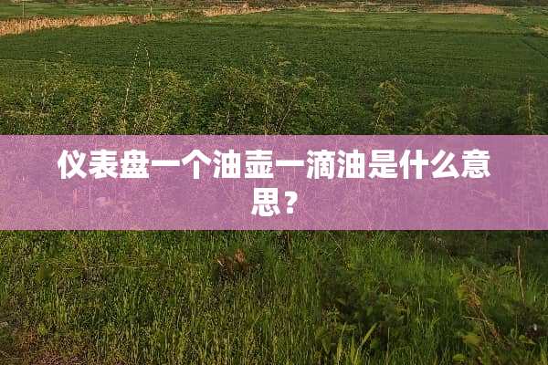 仪表盘一个油壶一滴油是什么意思？
