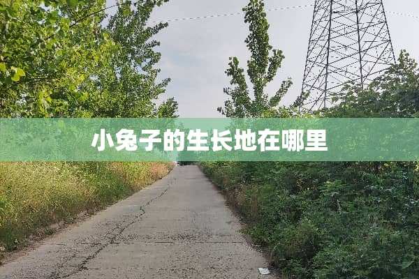 小兔子的生长地在哪里