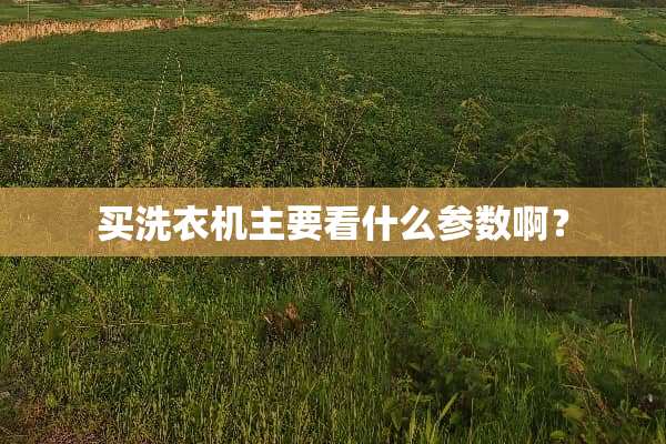 买洗衣机主要看什么参数啊？