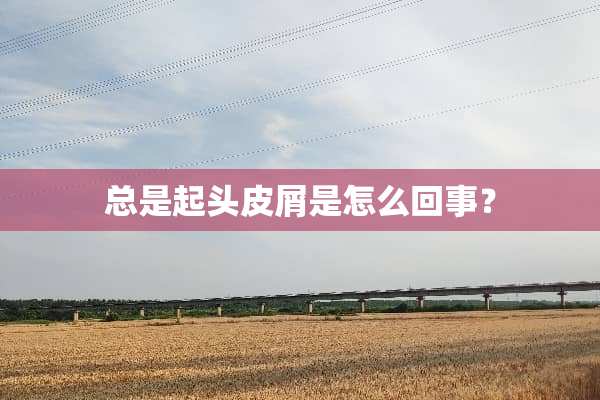 总是起头皮屑是怎么回事？