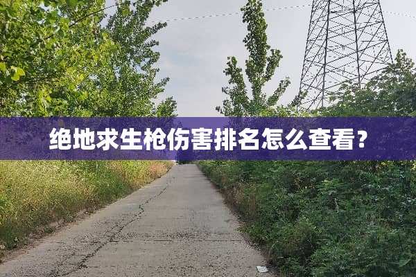 绝地求生*伤害排名怎么查看？