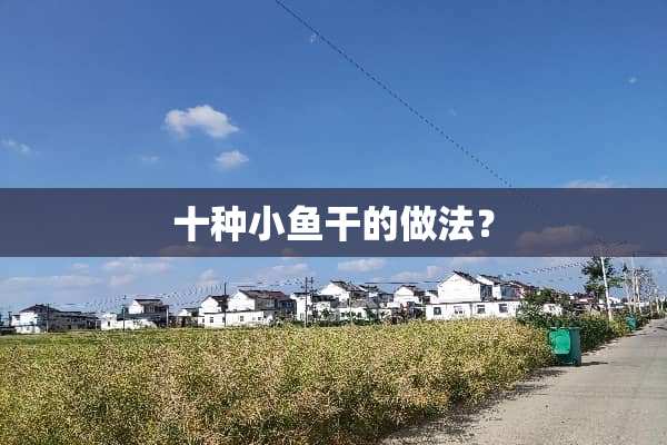 十种小鱼干的做法？