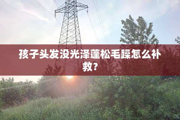 孩子头发没光泽蓬松毛躁怎么补救？
