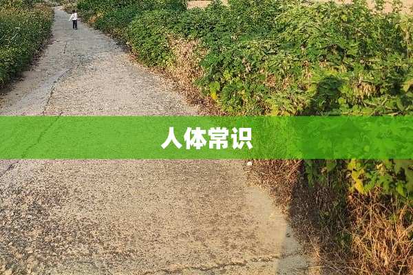 人体常识