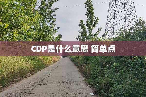 CDP是什么意思 简单点