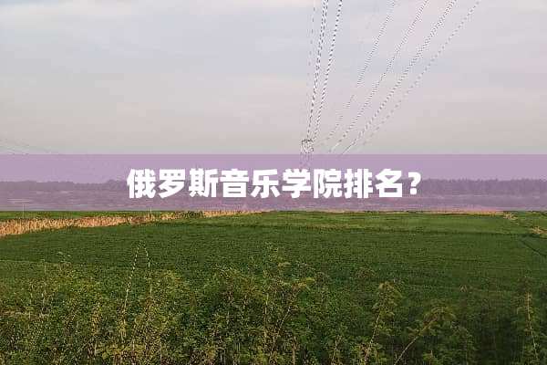 俄罗斯音乐学院排名？