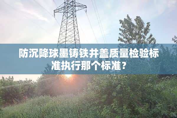 防沉降球墨铸铁井盖质量检验标准执行那个标准？