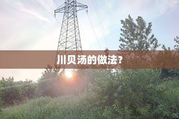 川贝汤的做法？