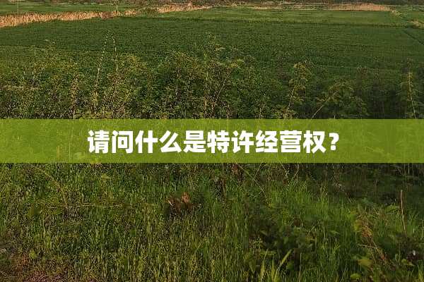 请问什么是特许经营权？