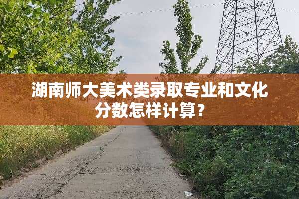湖南师大美术类录取专业和文化分数怎样计算？