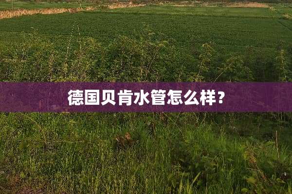 德国贝肯水管怎么样？