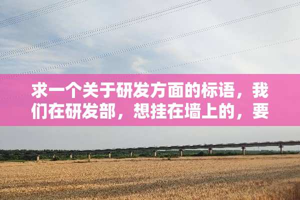 求一个关于研发方面的标语，我们在研发部，想挂在墙上的，要求4个字一组