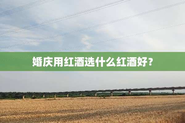 婚庆用红酒选什么红酒好？
