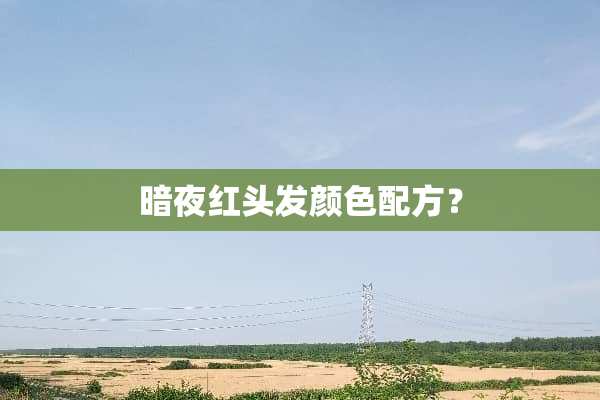 暗夜红头发颜色配方？