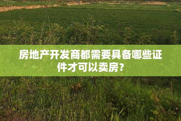 房地产开发商都需要具备哪些**才可以卖房？
